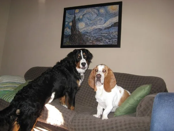 George and Freyja together at home