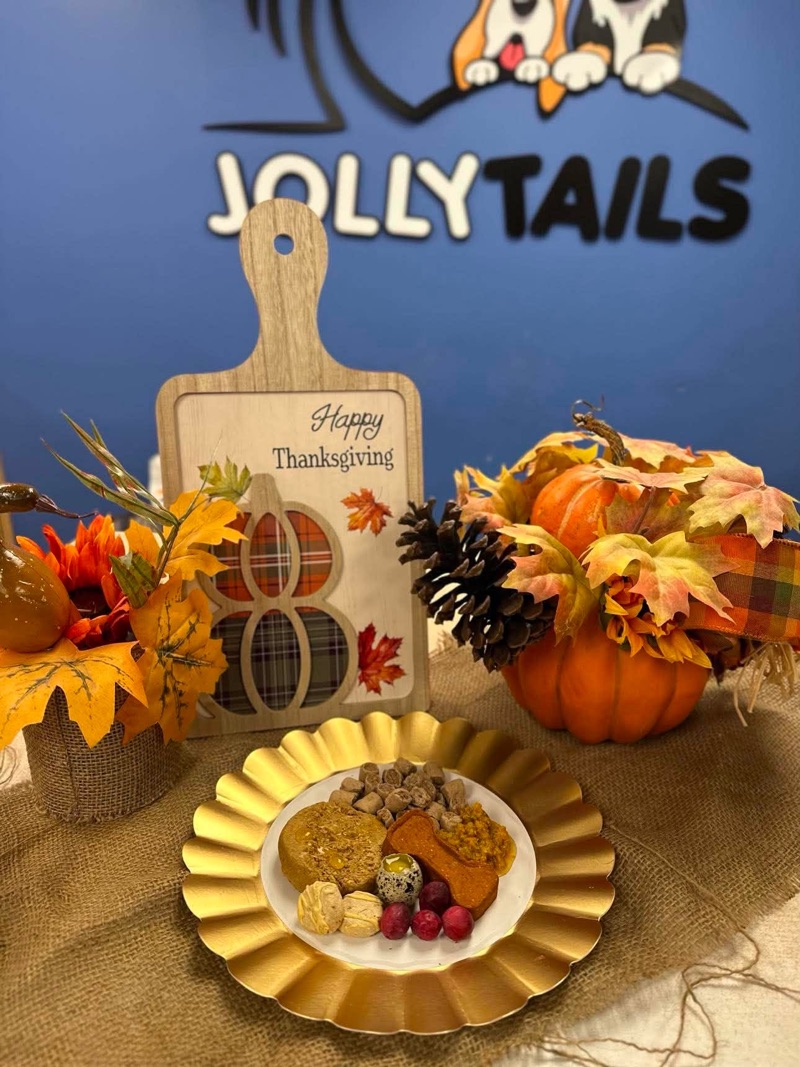 A Thanksgiving dinner for dogs with turkey, quail egg, squash, sweet potato, berries, and a cookie arranged on a gold plate at Jollytails