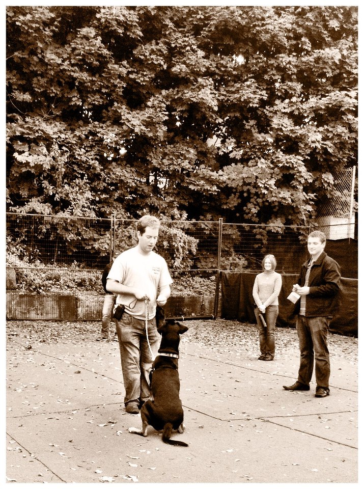 A dog and handler practising together during an outdoor Jollytails group training class
