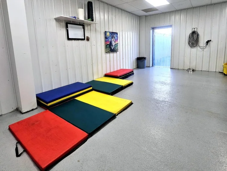 A clean Jollytails indoor daycare room with colourful resting mats