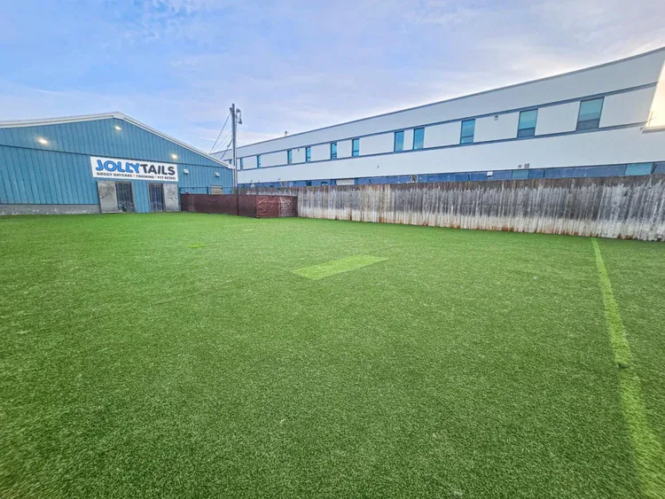A large fenced outdoor turf play area at Jollytails