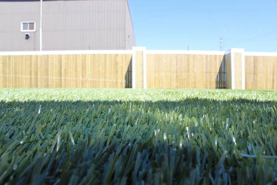 A close-up view across the outdoor turf at Jollytails Burnside