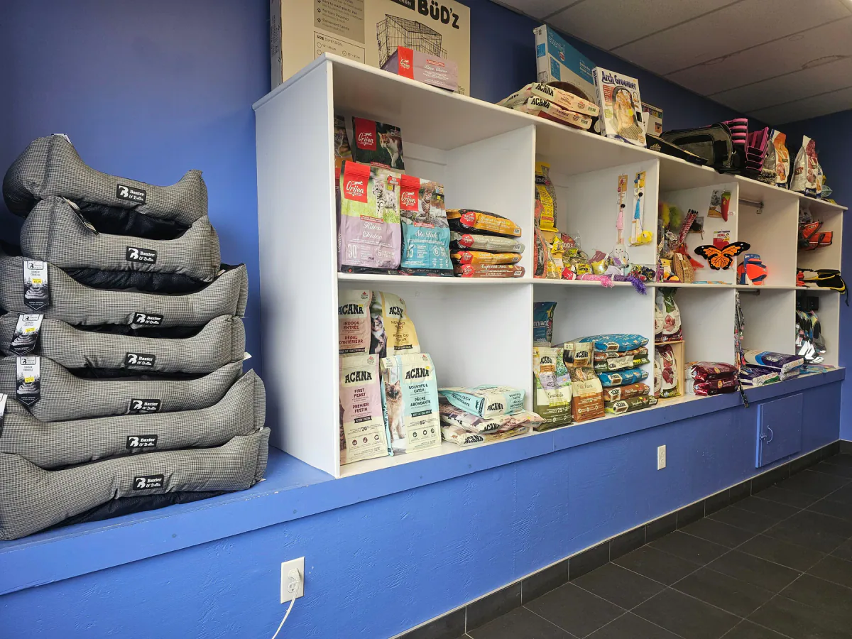 Pet beds, food, toys, and accessories displayed inside Jollytails