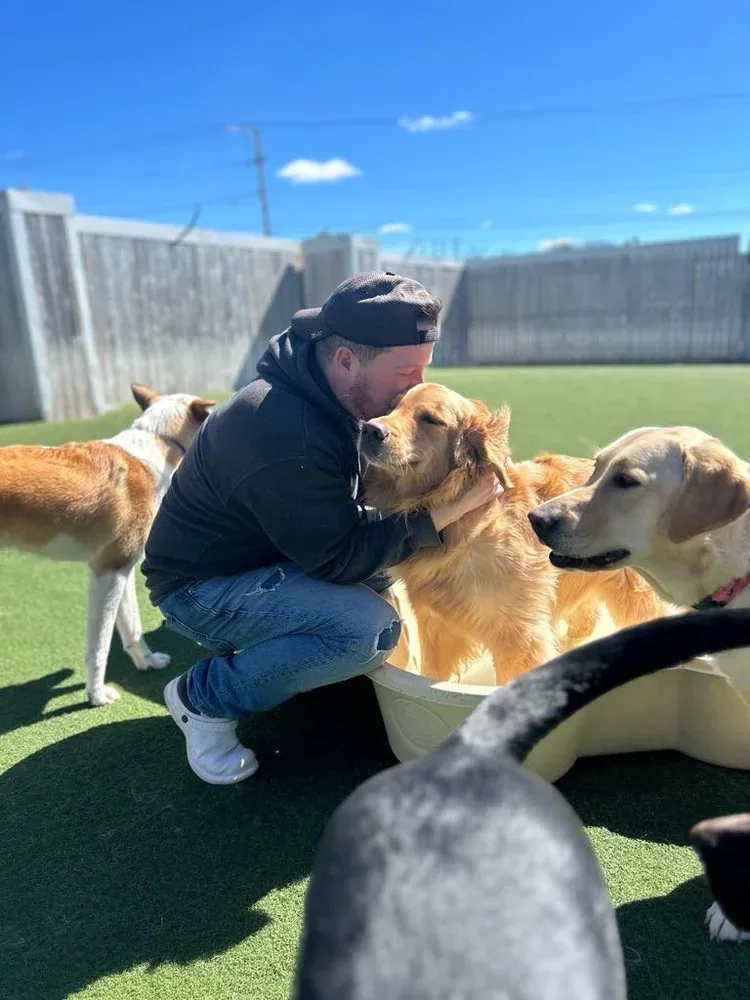 Cayden from Jollytails Dartmouth sharing a happy moment with the daycare dogs