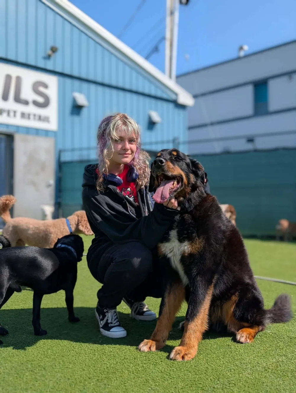 Kate from the Jollytails Lady Hammond daycare team with a dog