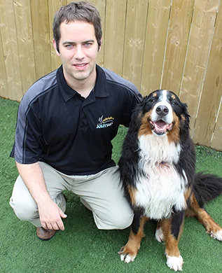 Jollytails co-owner Tristan Flynn beside a Bernese mountain dog